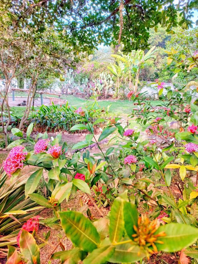 פלמייראס Recanto Villa Sao Joao מראה חיצוני תמונה